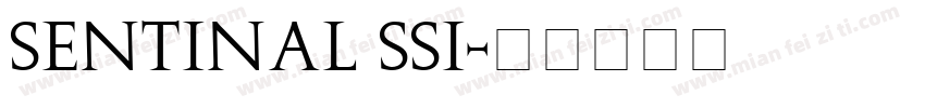 Sentinal SSi字体转换